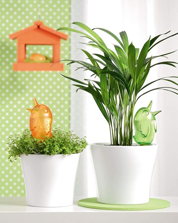 Immagine prodotto Scheurich Wasserspeicher Bördy S. 90 ml. grün. 2 Stück