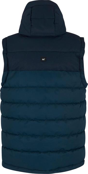 Produktbild Regatta Aldthorn Weste (L)