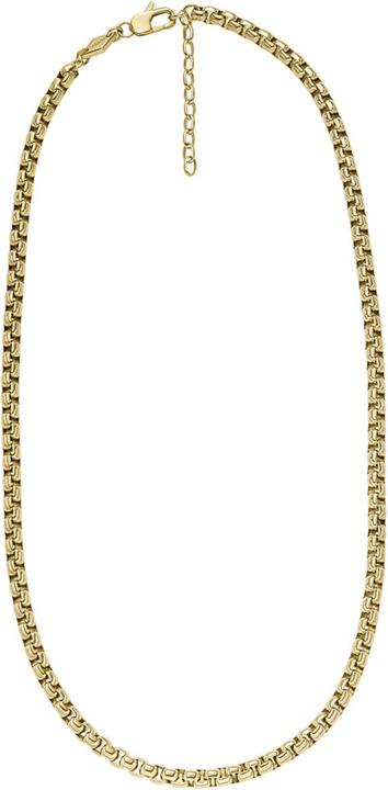 Actual product image Fossil Jewelry (Stainless steel)