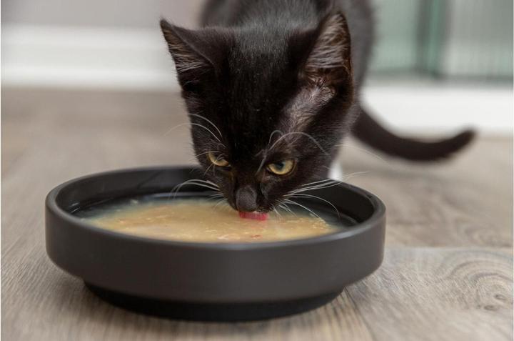 Actual product image Trixie Cat food supplement Soup with chicken & salmon 4 x 80 g (Adult, 4 pcs., 320 g)