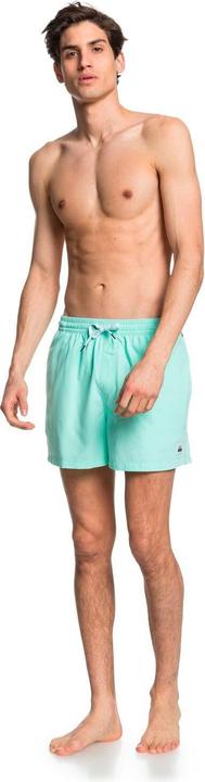 Image du produit Quiksilver Everyday Volleys (M)