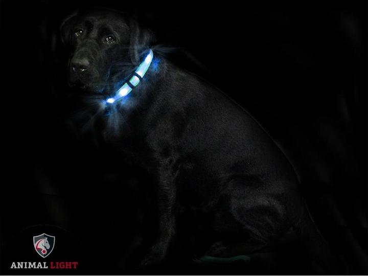 Actual product image Animal Light Luminous (S, Dog, General)