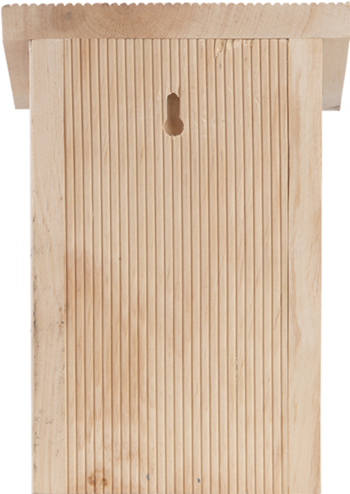 Immagine prodotto Esschert Design Casetta per farfalle pensile (Farfalle)