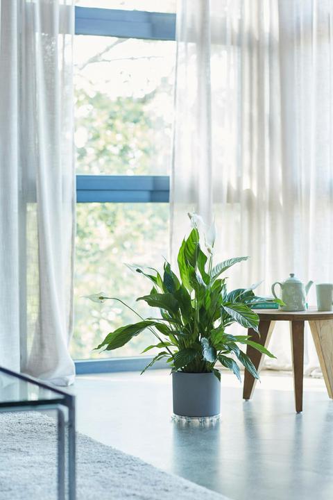 Produktbild Elho Floorprotector (21 cm)