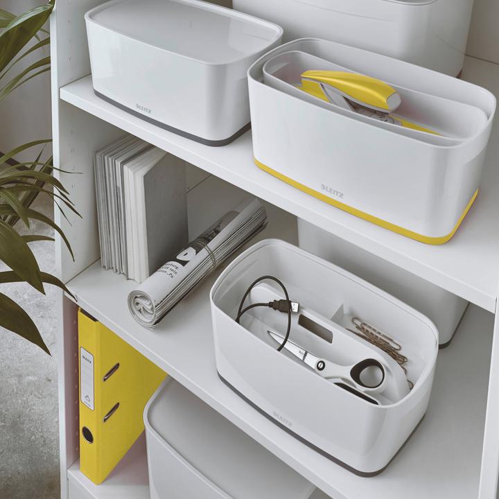 Produktbild Leitz MYBOX - Aufbewahrungsschale (24.5 x 10 x 16 cm, 3.80 l)