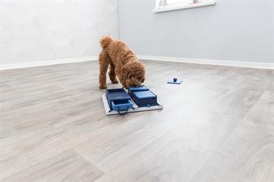 Produktbild Trixie Poker Box 2 (Intelligenzspielzeug Hund)