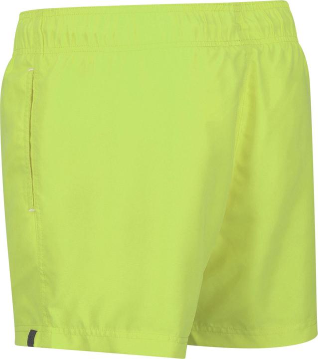 Produktbild Regatta Mawson II Kurze Hose (3XL)