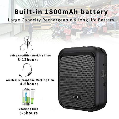 Actual product image Shidu Voice amplifier