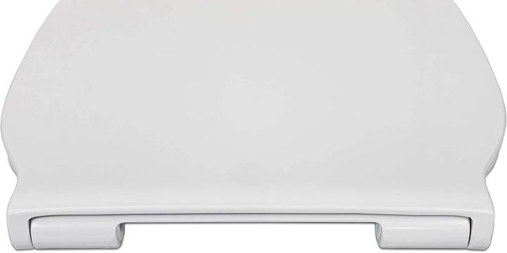 Productafbeelding Ideal Standard WC zitting E036601