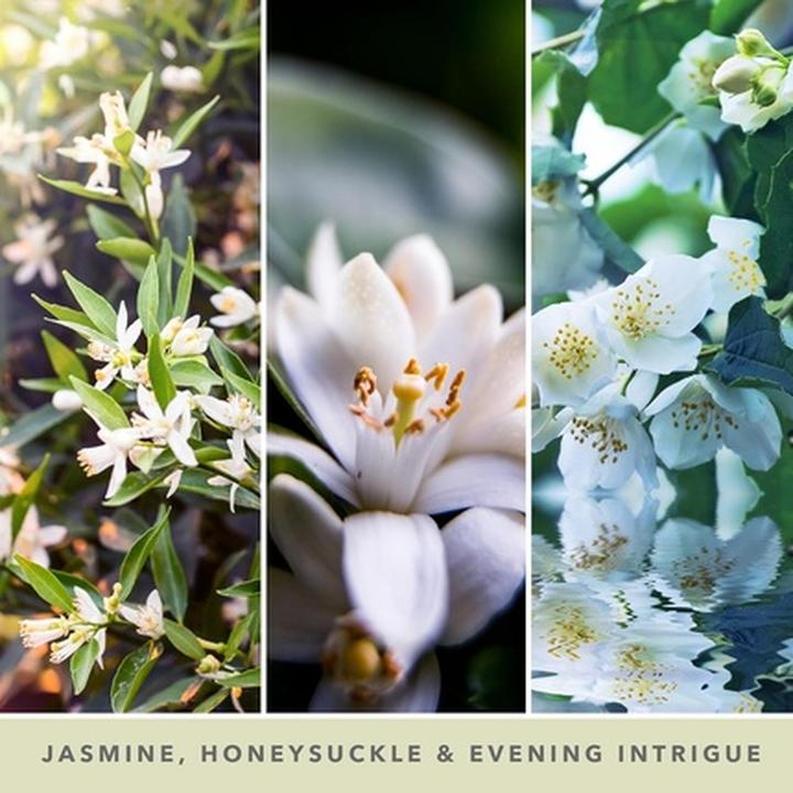 Productafbeelding Yankee Candle Midnight Jasmine (623 g)