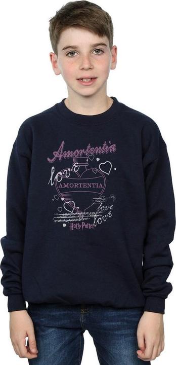 Image du produit - Sweat AMORTENTIA POTION - Garçon (104)
