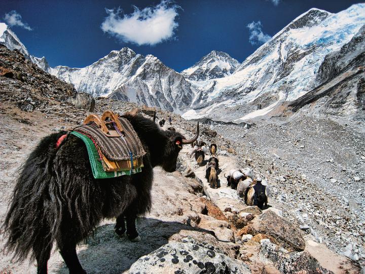 Produktbild The Great Himalaya Trail (Deutsch, Peter Hinze, 2018)