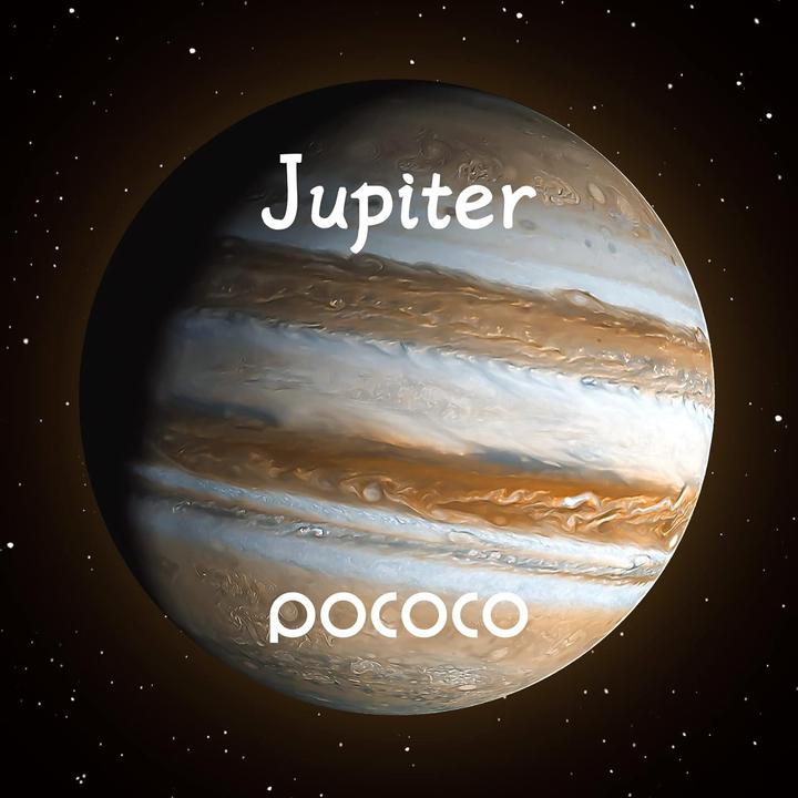 Image du produit Pococo Disques spatiaux