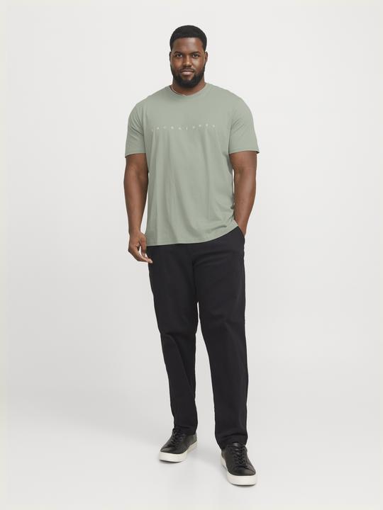Immagine prodotto Jack & Jones Jjestar Jj Tee Ss Noos Pls (5XL)