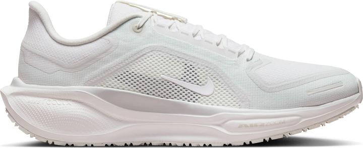 Produktbild Nike Pegasus 41 Gore-Tex (45.5)