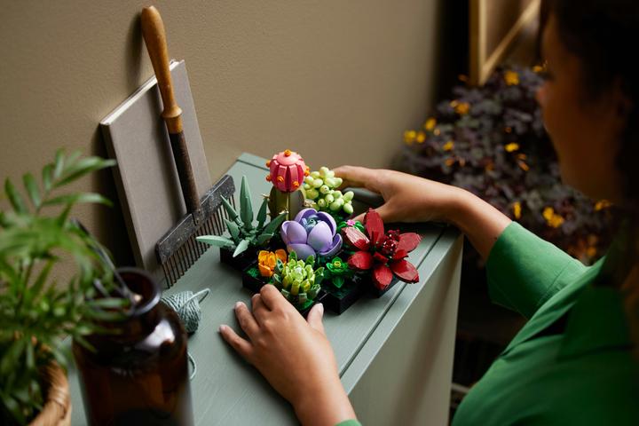 Image du produit LEGO Les succulentes (10309, LEGO Botanical, LEGO difficiles à trouver)