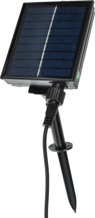 Actual product image Cocon LED light chain solar light bulbs (6.50 m)