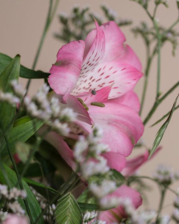 Image du produit feey Ballerine Avec Vase (Rose) (Fleurs coupées, 13x)