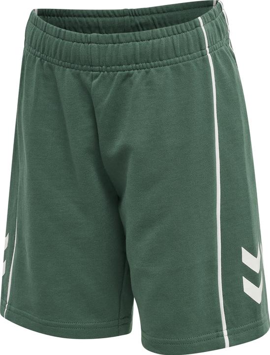 Actual product image hummel Hmldexter Shorts (122)