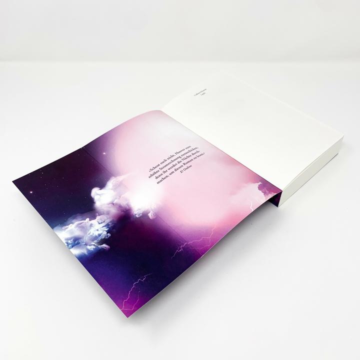 Image du produit Layla (Allemand, Colleen Hoover., 2021)