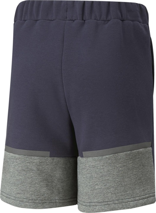 Actual product image Puma teamCUP Casuals Shorts Jr (128)