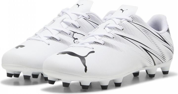Produktbild Puma Attacanto Fg/Ag Jr (31)