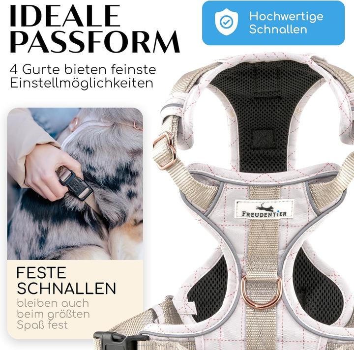 Actual product image Freudentier Clyde (S, Dog, General)