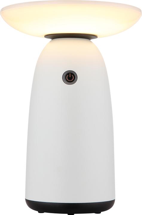 Actual product image Globo Solarleuchte Aluminium Weiss, 1xled (IP54)