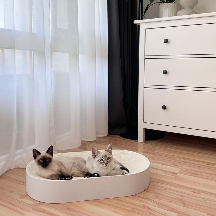 Produktbild LucyBalu SCRATCHBED Kartonbett (Katze)