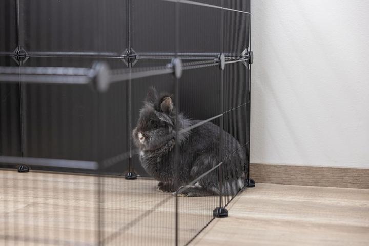 Immagine prodotto Kerbl Custodia per esterni