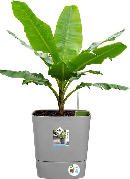 Produktbild Elho Blumenschale (38 cm)