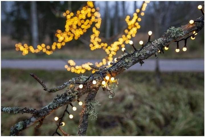 Actual product image Star Trading Berry Mini (19 m)