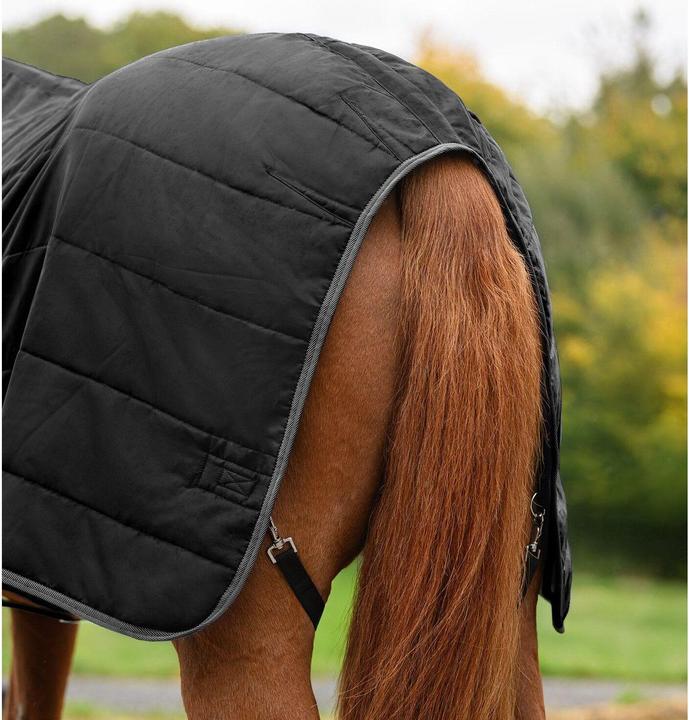 Produktbild Waldhausen Economic 100g (165 cm)