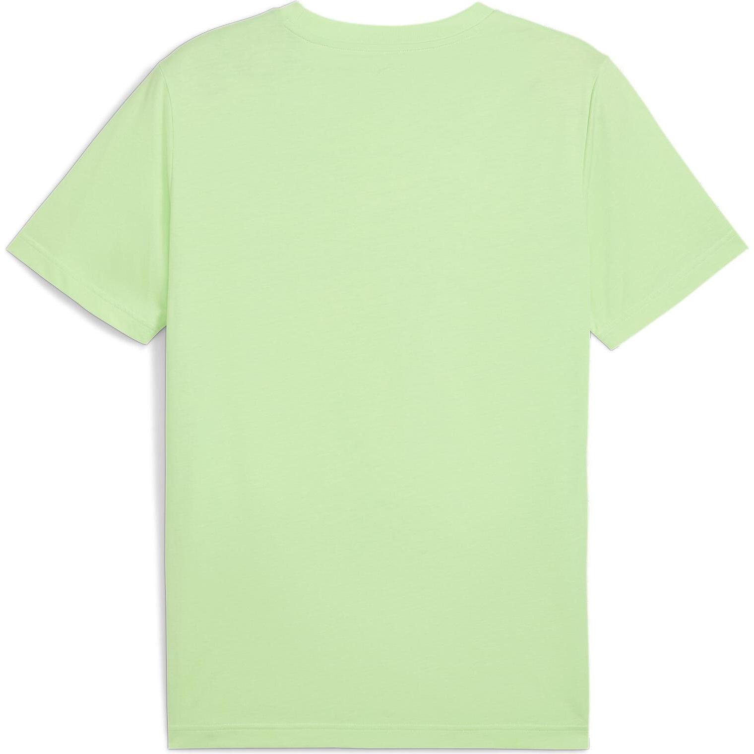 Thumbnail - Puma, Herren, Sportshirt, ESS No. 1 Logo Tee (s) (L), Grün, L