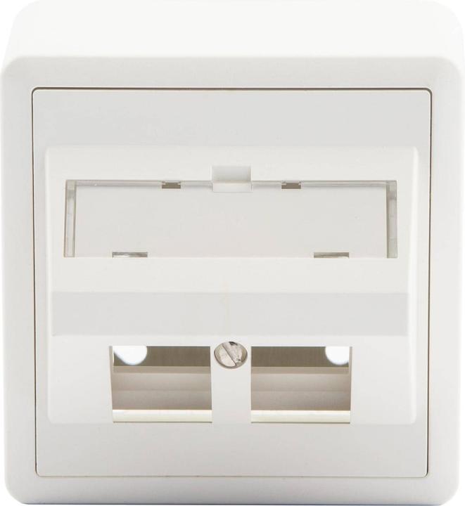 Dätwyler Network socket AP54 2x Keystone 1 piece