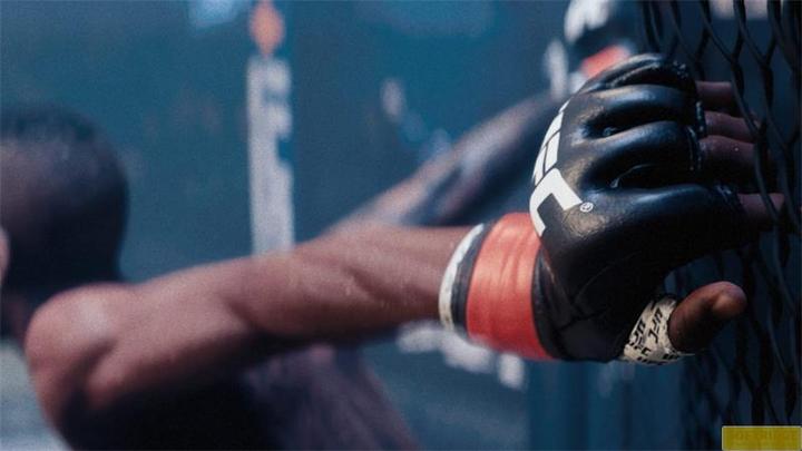 Actual product image EA Games UFC 5 (PS5, EN)