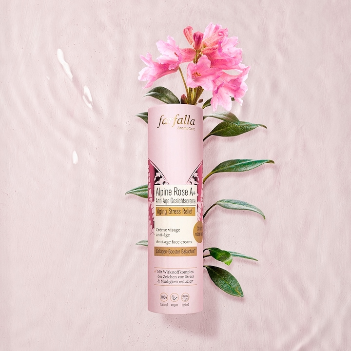 Actual product image Farfalla Alpine Rose A+ Anti-Age Face Cream (30ml) (30 ml, 24h cream)