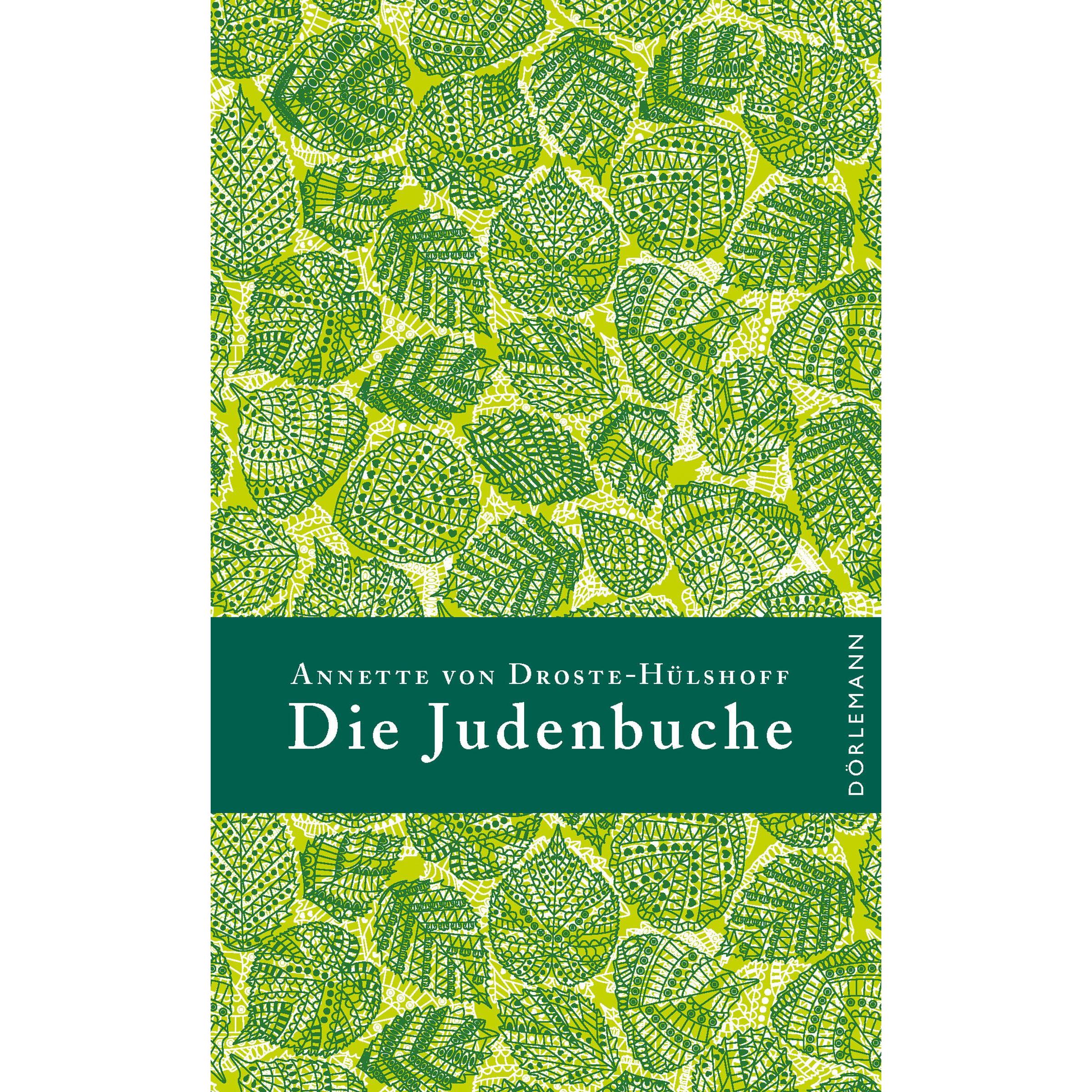 Die Judenbuche, Belletristik von Annette von Droste-Hilshoff