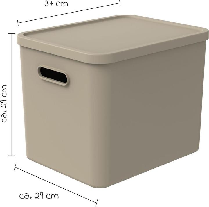 Produktbild Rotho Babydesign Spielzeugbox KAYO L Cappuccino