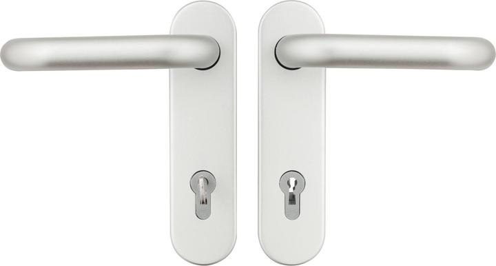 Domoferm Lever handle set ALU F1 for universal doors Cylinder with coloured beard insert (Door set)