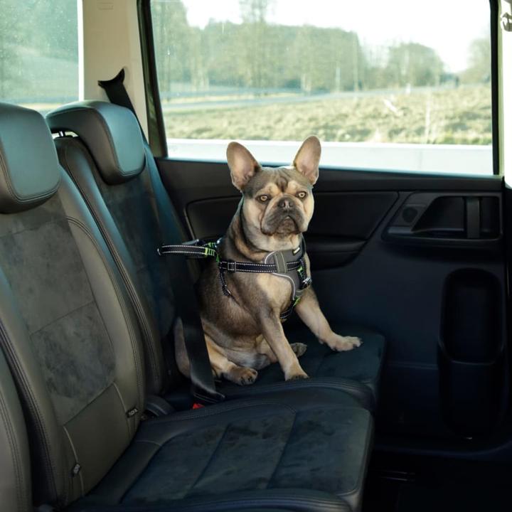 Produktbild Kerbl Autosicherheitsgeschirr (Hund, Reflektoren, Komplett zu öffnen)