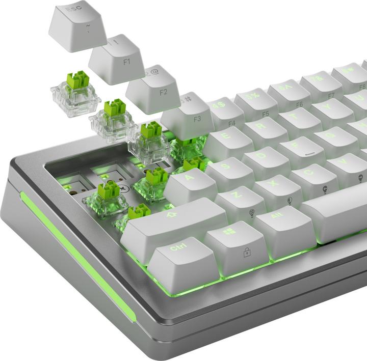 Produktbild Glorious HE Switches (36pcs) - Raptor - Lubed - (Clicky) 55g