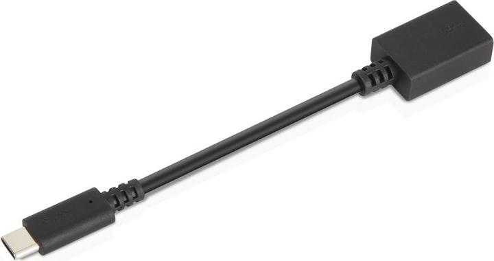 Actual product image Lenovo USB zu (USB-A, 14 cm)