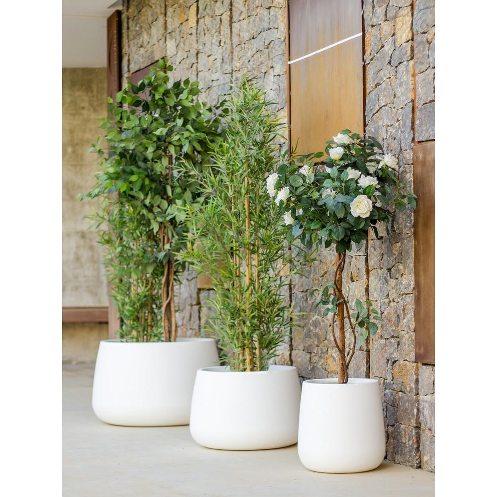 Thumbnail - Newgarden, Blumentopf, CAMELIA 80 Pflanzengefäss XXL gross rund ø79x46,5cm anthrazit 178L aussen (46.50 cm)