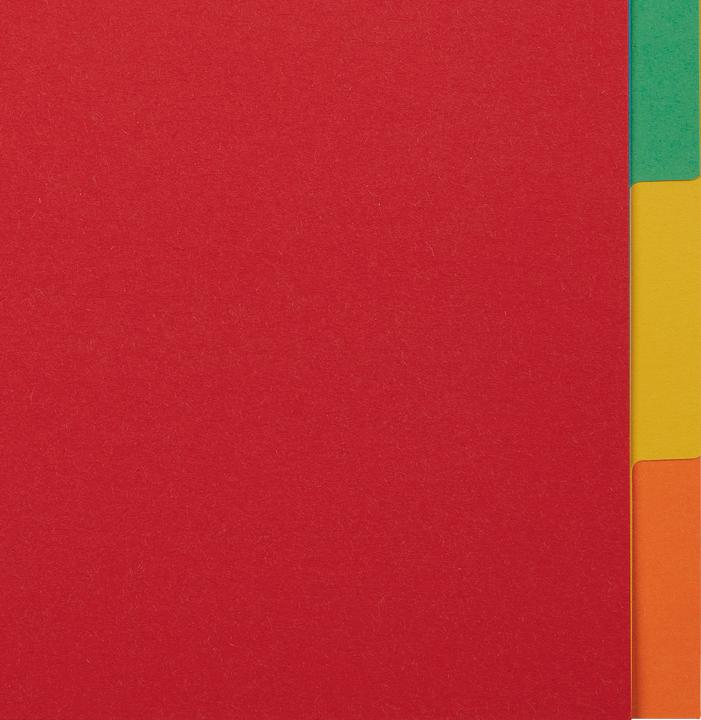 Actual product image Esselte Indice cardboard blank Economy