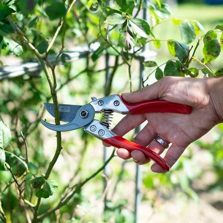 Image du produit Siena Garden Sécateurs