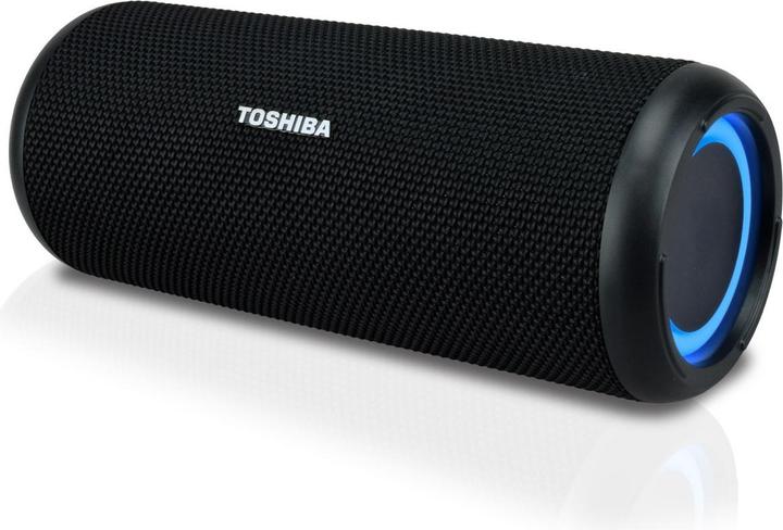 Actual product image Toshiba TY-WSP201 (10 h)