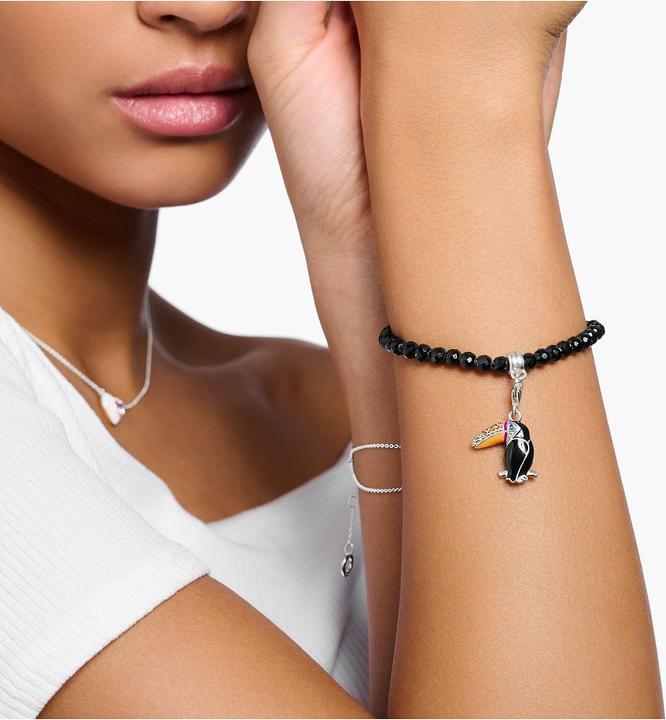Produktbild Thomas Sabo Charm-Anhänger Bunter Tukan Silber (925er Silber, Kaltemail)