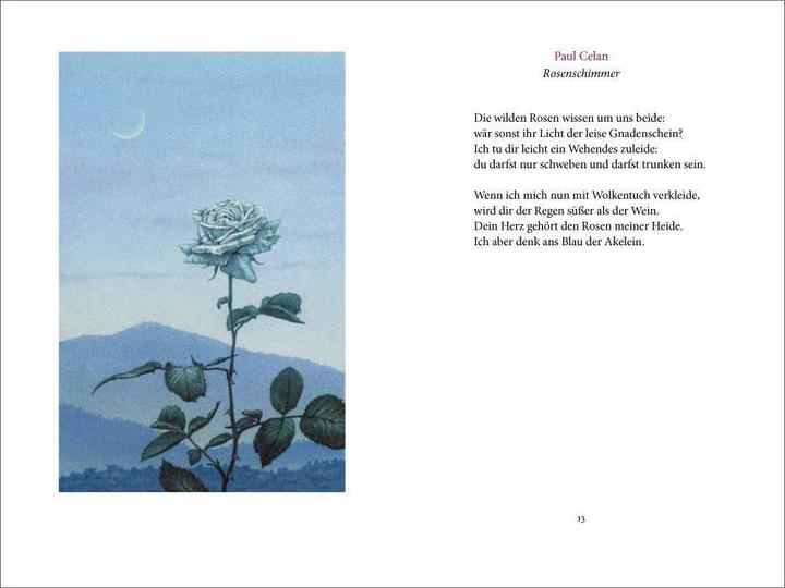 Produktbild »Ich wollt' dein Bett mit einer Rose schmücken« (Deutsch, Christina Kraus, Matthias Reiner, 2017)
