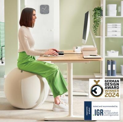 Produktbild Leitz Ergo Active Sitzball (75 cm)